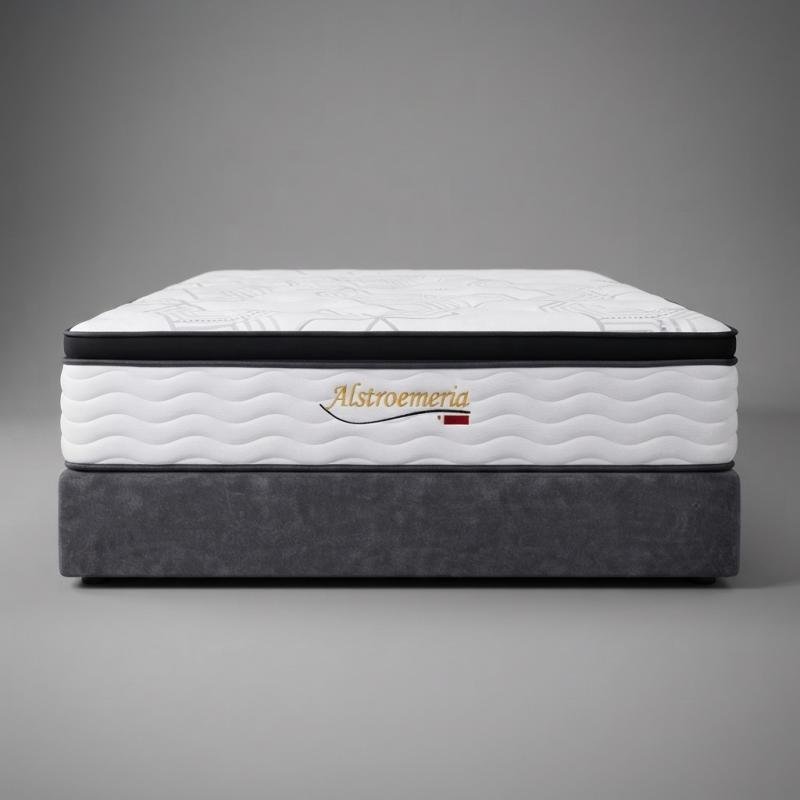 Premium Chiropractic Micro Posture Spring Queen Mattress