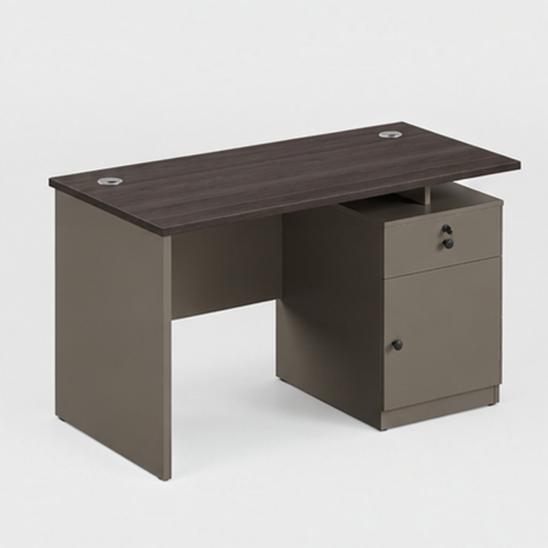 Executive Dual-Tone Modern Office Desk with Integrated Storage