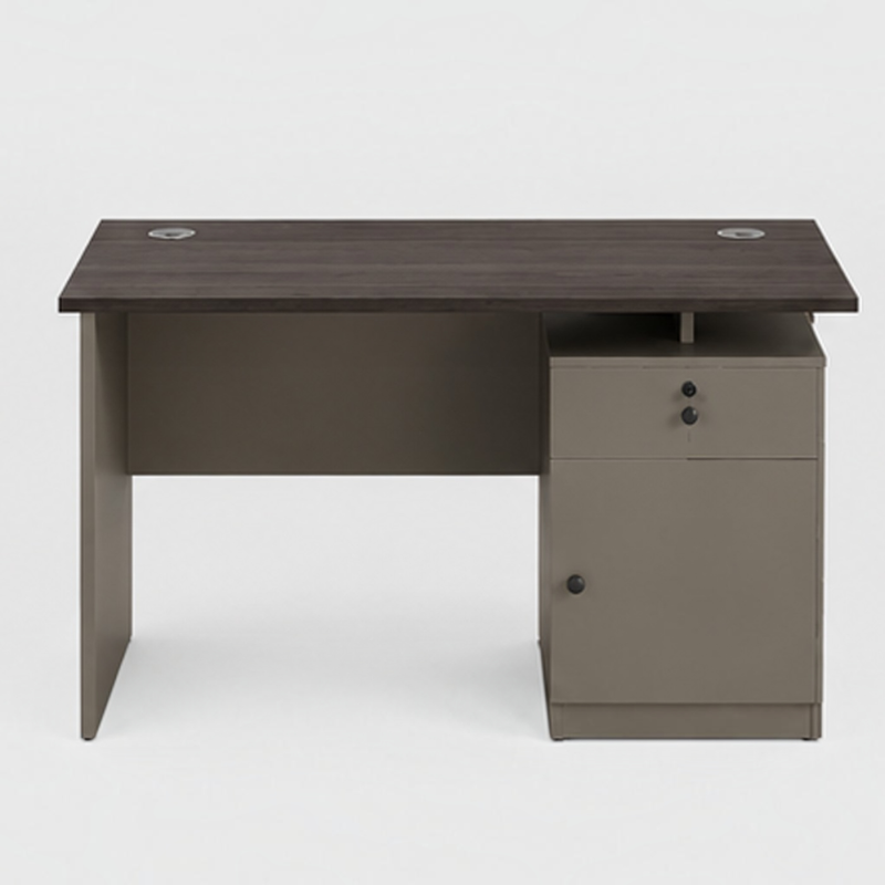 Executive Dual-Tone Modern Office Desk with Integrated Storage