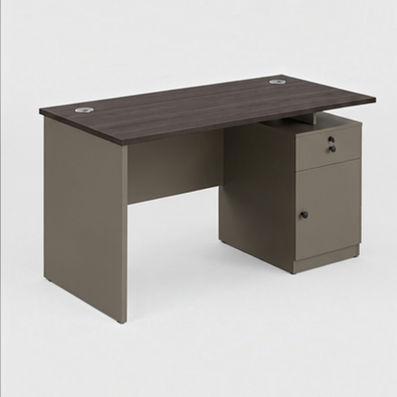 Executive Dual-Tone Modern Office Desk with Integrated Storage